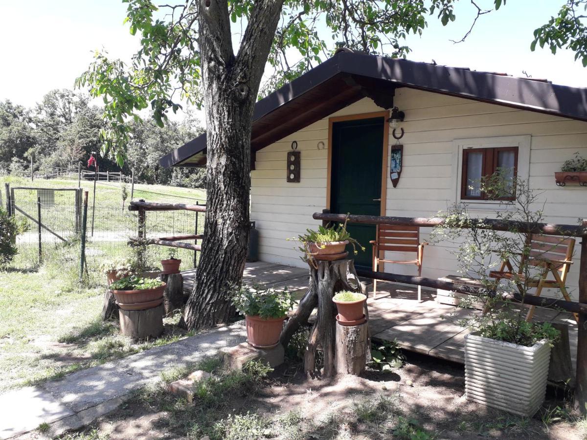 Bed and Breakfast Il Casalino Pianoro Exteriér fotografie